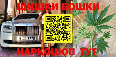 тгк Будённовск