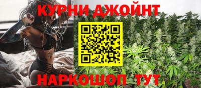 гашик Бузулук