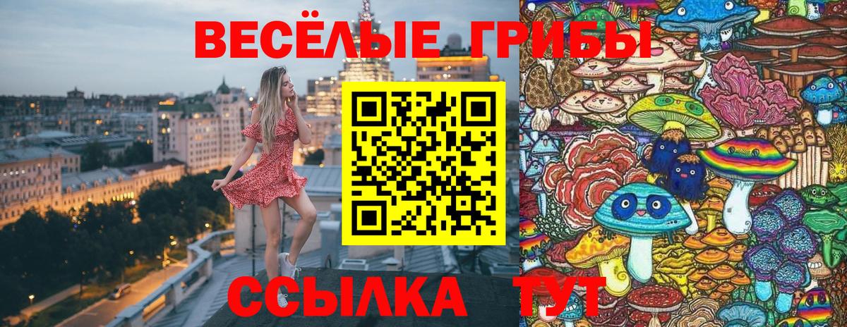 Псилоцибиновые грибы Cubensis  Вход с VPN  Семилуки 