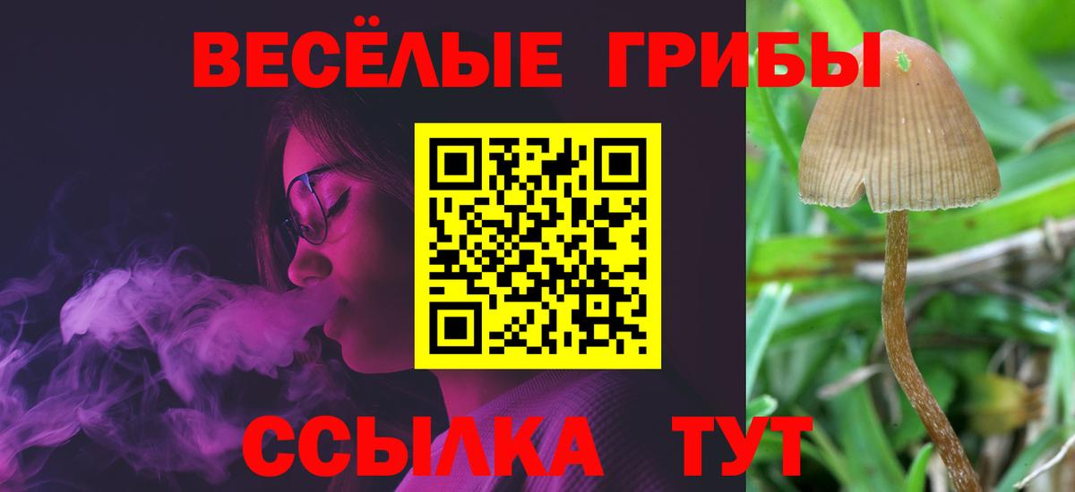 Галлюциногенные грибы прущие грибы Семилуки